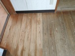 IMG20210510090356.jpg