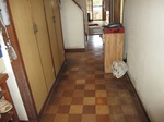 IMG_14241.jpg