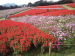 IMG_20191103_095137.jpg
