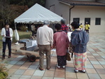 IMG_20191103_105545.jpg