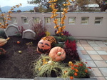 IMG_20191103_110550.jpg