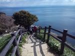 IMG_20200209_112901.jpg