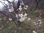 IMG_20200209_133115.jpg