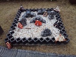 IMG_20200209_144954.jpg