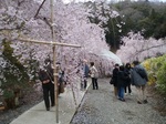 IMG_20200329_130926.jpg