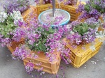 IMG_20200329_131155.jpg