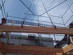 IMG_20200613_085638.jpg