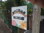 IMG_20200628_102227.jpg