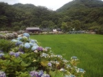 IMG_20200628_102523.jpg