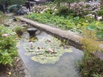 IMG_20200628_103421.jpg