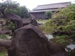 IMG_20200628_113204.jpg