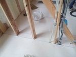 IMG_20200707_093024.jpg