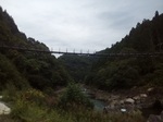 IMG_20201004_103711.jpg