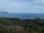 IMG_20201101_124229.jpg