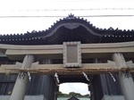 IMG_20201101_151711.jpg