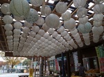 IMG_20201108_094332.jpg