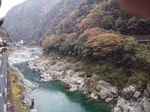 IMG_20201108_112208.jpg