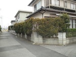 IMG_2397.jpg